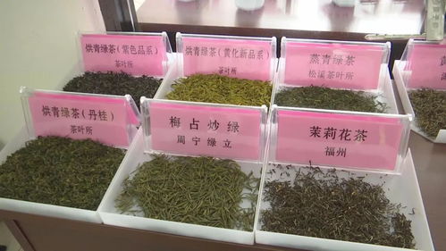 茶 讓生活更美好