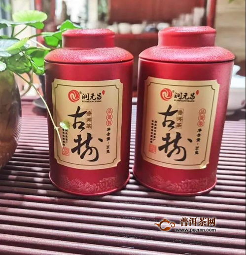 潤(rùn)元昌十年陳韻品鑒會(huì) 收藏的普洱茶存放10年會(huì)變成什么樣 身入其境,方知其味