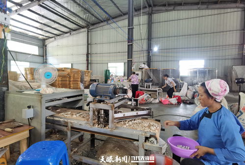 黎平 就業(yè)崗位送到家 扶貧車間 變 致富工廠