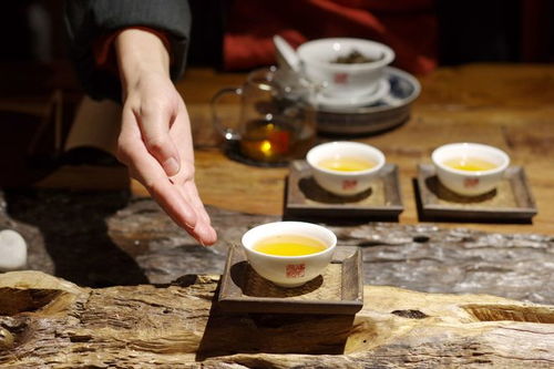 智匯芽協(xié)助福元昌普洱茶運(yùn)營抖音賬號(hào),確定合作關(guān)系