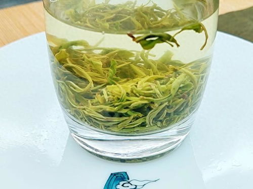 2023綠茶聯(lián)賽，江西隊(duì)出戰(zhàn)之狗牯腦茶登場(chǎng)