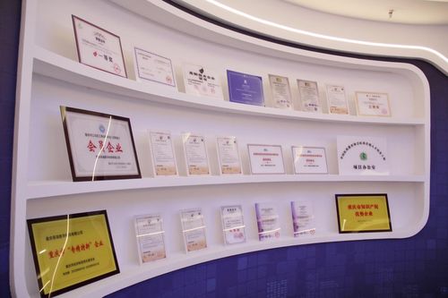 重慶首單 專精特新 保險服務簽了 為國內領先的生命健康服務電商保駕護航